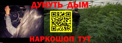 ГАЛЛЮЦИНОГЕННЫЕ ГРИБЫ Свободный