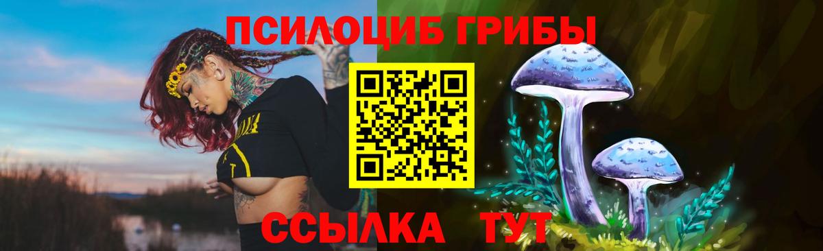 Петрозаводск  Галлюциногенные грибы ЛСД  Вход с VPN 